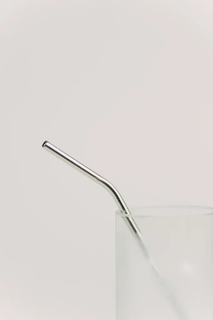 Paille réutilisable en Inox (Petite (15cm))